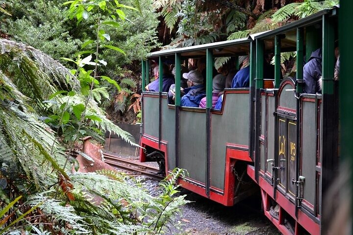 Coromandel Day Tour From Auckland - Photo 1 of 15